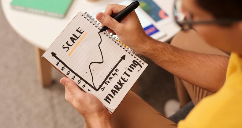 Development Strategy